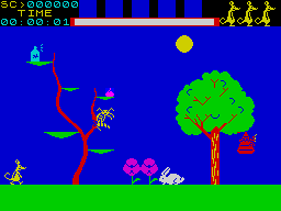 screens