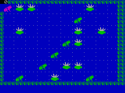 screens